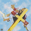 Krucifix cover