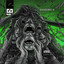 Scared Now? - DIVERGENCE VI artwork