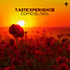 Tastexperience - Como el Sol (Original Mix)