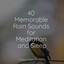 40 Memorable Rain Sounds for Meditation and Sleep cover