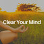 Clear Your Mind cover