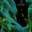 Alerch — Arythmm (Fec's Cardiac Rite) cover art