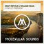 Deep Impuls et William Silva - Hymn of Freedom (Extended Mix)