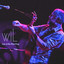 Live at the Blue Frog cover