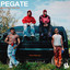 PEGATE cover