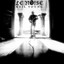 Neil Young - Sign of Love