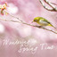 花下醉賞 cover