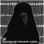 Master Skywalker artwork