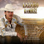 Centro Max cover