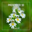 Euphrasia - Extended Mix