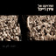 Say God cover