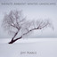 Jeff Pearce - Infinite Ambient: Stars