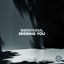 Missing You - Extended Mix
