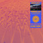 Singularity - Altare Remix
