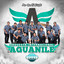 Desconocido - AGUANILE