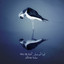 Ax El-Ser cover