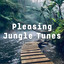 Pleasing Jungle Tunes cover
