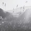 Stilla - Silverpine