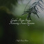 Gentle Rain Songs - Relaxing Focus Sessions cover