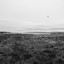 Greatsouth (NZ) - NVS