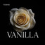 Vanilla