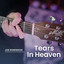Tears In Heaven cover
