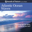 Joe Baker - Atlantic Ocean Waves Part 1 (Nothing but the Pure Sound of the Surf)