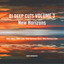 New Horizons - Dub Mix