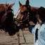 Vikki Gilmore - Cowboy (2026) (CA)
