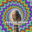 Coucou hibou