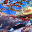 花伦 - Sunrain