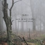 Skog är Mitt Tempel cover