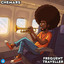 Frequent Traveller