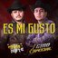 Es Mi Gusto cover