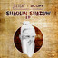 Shaolin Shadow