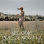 Melodic Breeze Sonata cover