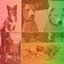 Music for Keeping Dogs Soothed (Latin Music) cover