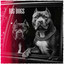 Big Dogs (NZ) - Whiff of You