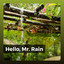 Hello, Mr. Rain cover