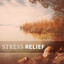 Stress Relief – Calm & Relaxing Music, Soft Sounds to Relax, Keep Calm, Chill All Day cover