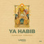 YA HABIB - Extended Mix
