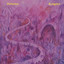 Paradis cover