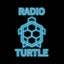 Radio Turtle — The Arrival cover art