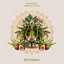 Nomadic Pulse