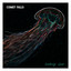 Comet Falls - Landing Gear