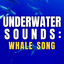 Underwater Sounds: Whale Song cover