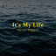 It's My Life cover
