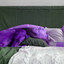 Fun Backdrop for Saturday Pups cover
