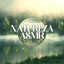 Natureza ASMR: Pássaros Cantando, Chuva Calmante, Ondas Calmantes do Mar, Música Relaxante cover