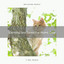 Calming Sea Tunes For Home Cats cover